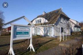 Apartment in Sellin/Insel Rügen 37917 in Sellin